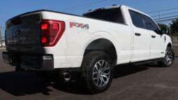 FORD F-150 2021