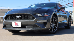 FORD MUSTANG 2018