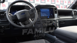 FORD F-150 2024
