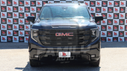 GMC SIERRA 2019
