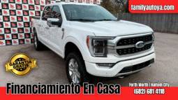 FORD F-150 2021