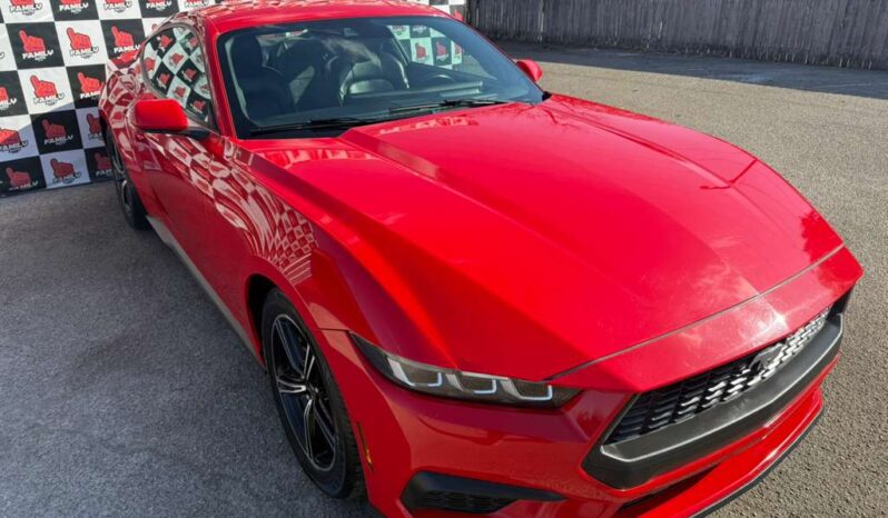 
								FORD MUSTANG 2024 full									