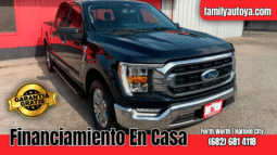 FORD F-150 2021