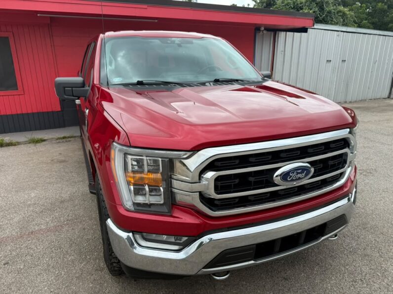 
								FORD F-150 2021 full									