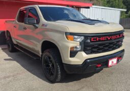 CHEVROLET SILVERADO 2022