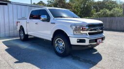 FORD F-150 2018